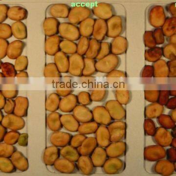 kidney Beans ccd camera color sorter machine