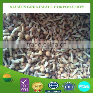 Freezing pholiota nameko mushrooms for EU market