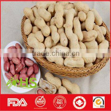 2016 new crop fresh blanched peanut kernels