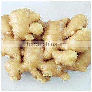 price of fresh ginger