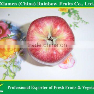 Gansu Fresh Apple