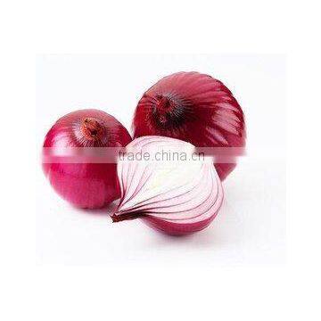 Export fresh onion from Chinese factory