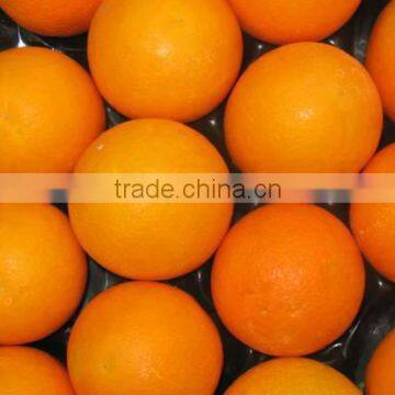 Imagine Valanica Orange