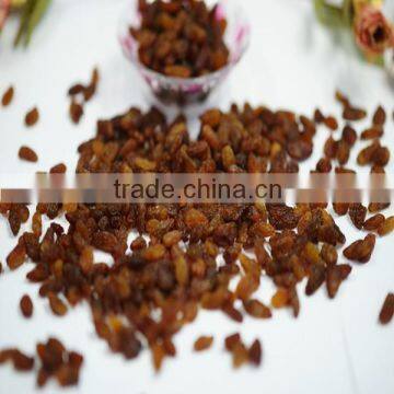 xinjiang raisins sultana raisins 2015 new crop