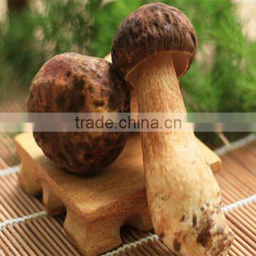 Wild porcini, dried sliced boletus edulis