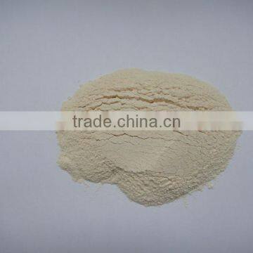 2014 dehydrated onion powder