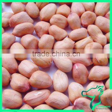 Chinese Big Size Peanut Kernel Without Shell