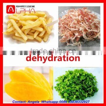 Hot Sale ! Potato Dehydrator/potato Chips Production Line Price photo-4
