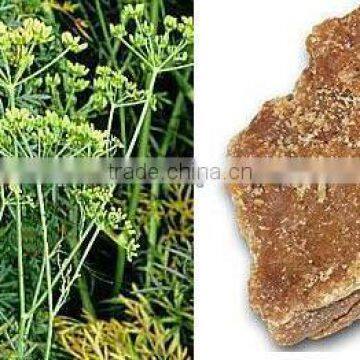 NATURAL ASAFETIDA OIL photo-2