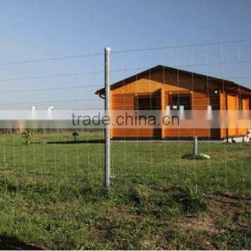 Cattle Mesh Fence/Farm Fencing Wire/Hinge Joint Field Fence(hot sale)