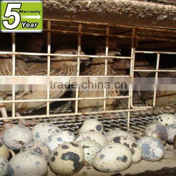 quail cage farming equipment