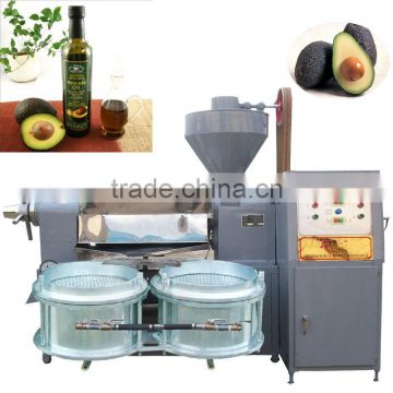 High output Olive oil cold press machine