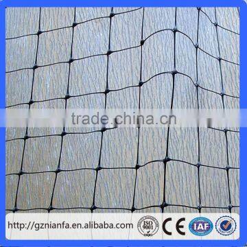 Export to USA 100%virgin HDPE Anti Bird Netting/bird netting manufacturer(Guangzhou Factory)