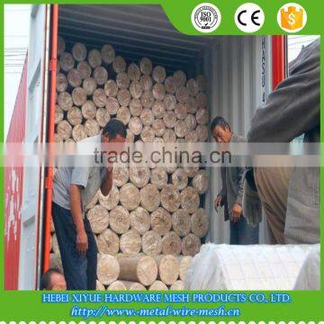 Export galvanized Welded Wire Mesh for wall reinforcing mesh