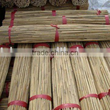 Bamboo Sticks/Tonkin Bamboo Sticks