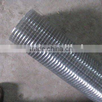 Welded Wire Mesh (Galvaninzed)/1/4 inch galvanized welded wire mesh