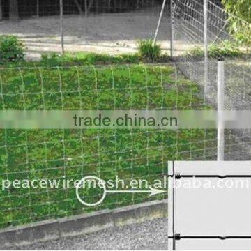 Hot Products Cattle fence