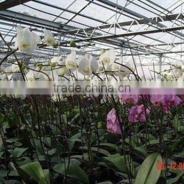 Flower And Vegetable Growing Greenhouse