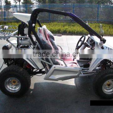 EEC/COC 250cc Petrol go Kart (TKG250E) photo-6