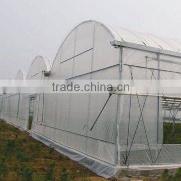 Plastic Film Covered Greenhouse For Mushroom&Roses