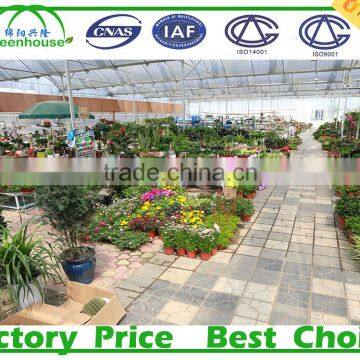 Backyard Glass Greenhouse Sale photo-5