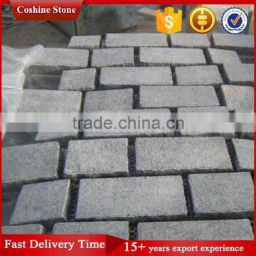 Flamed Black China Granite Walkway Pavers With Net Paste