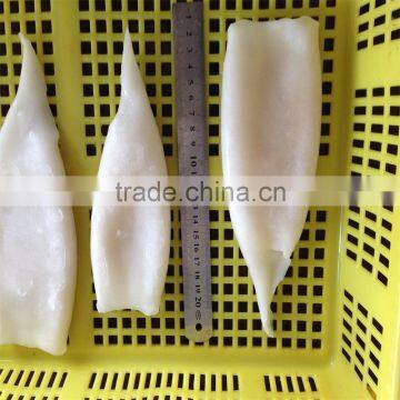 New Season Cheap Price Frozen Iqf Squid Tube U5 U7 U10 photo-6