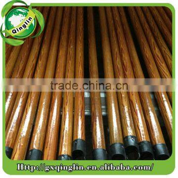 Eucalyptus Broomstick photo-4