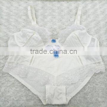 New design young ladies white embroidered blue bow bra and panty set