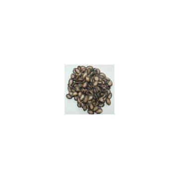 black water melon seeds