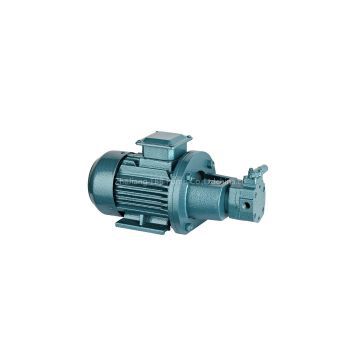 BBG gear type electric oil transfer pump positive displacement pump