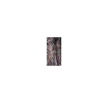 White Willow Bark Extract/Salix alba/Salicin