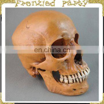 New arrival simulation halloween decorative skull FGHS-0005