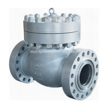 ASI swing check valve power station valve