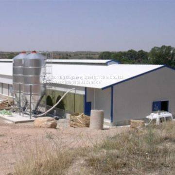 Steel Structure Chicken House Design Chicken House for Sale Cage Layer Chicken House China photo-4