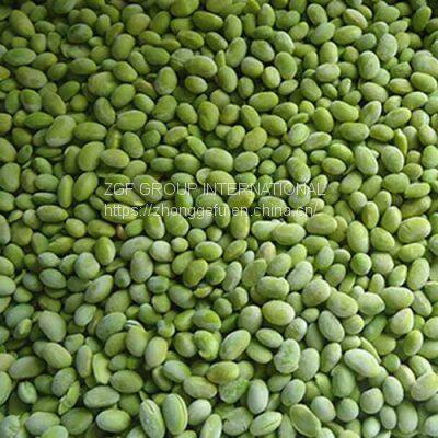Frozen Soybean Kernels IQF photo-4