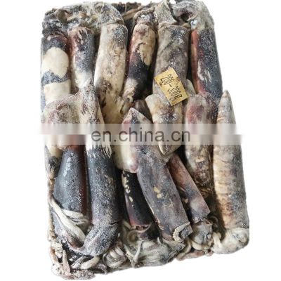 whole round frozen giant squid price dosidicus gigas