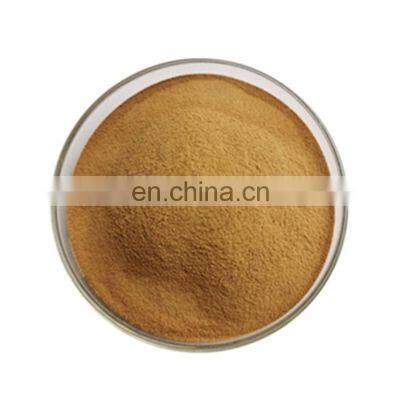 High Quality Wholesale Echinacea Extract Powder Polyphenol 4%