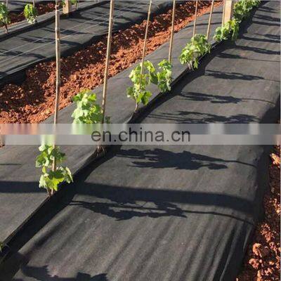 China Factory Manufacture Landscape Fabric Green Ground Cover Plastic Mulch Film photo-2