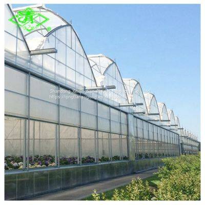 China Top Manufactory 200 Micron Greenhouse Film photo-3