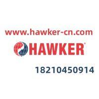 HAWKER BATTERY 80V/4PzM320  80V320Ah Russia