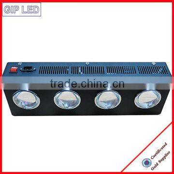 High Power 4 Cob Grow Led Light Veg/bloom Switches 2ft 1000w Led Plant Grow Light Full Spectrum 504w Cob Led Grow Lights photo-4