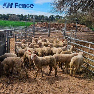 Panel de ovejas de grado de inversión: Hoja de acero de calidad comercial ofrece valor a largo plazo y seguridad confiable