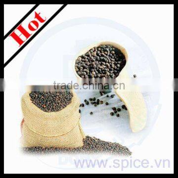 Black Pepper Best Quality & Price photo-6