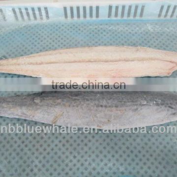 Frozen IQF Spanish Mackerel Fillet IQF Scomberomorus Niphonius King Fish Fillet