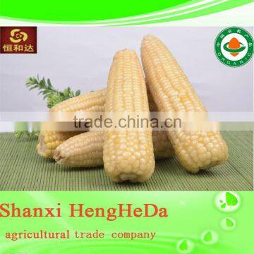 China Online Shopping With Certification Yellow Maize photo-3
