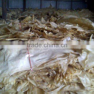 Raw hide for dog chew