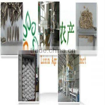 Sunflower Seeds Long Shape photo-2