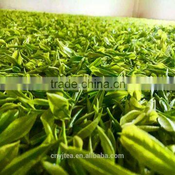 Yijian Organic Green Tea Packed in Bagged photo-4