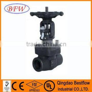 gate valves forged steel socket-welding end